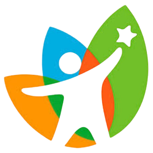 system logo